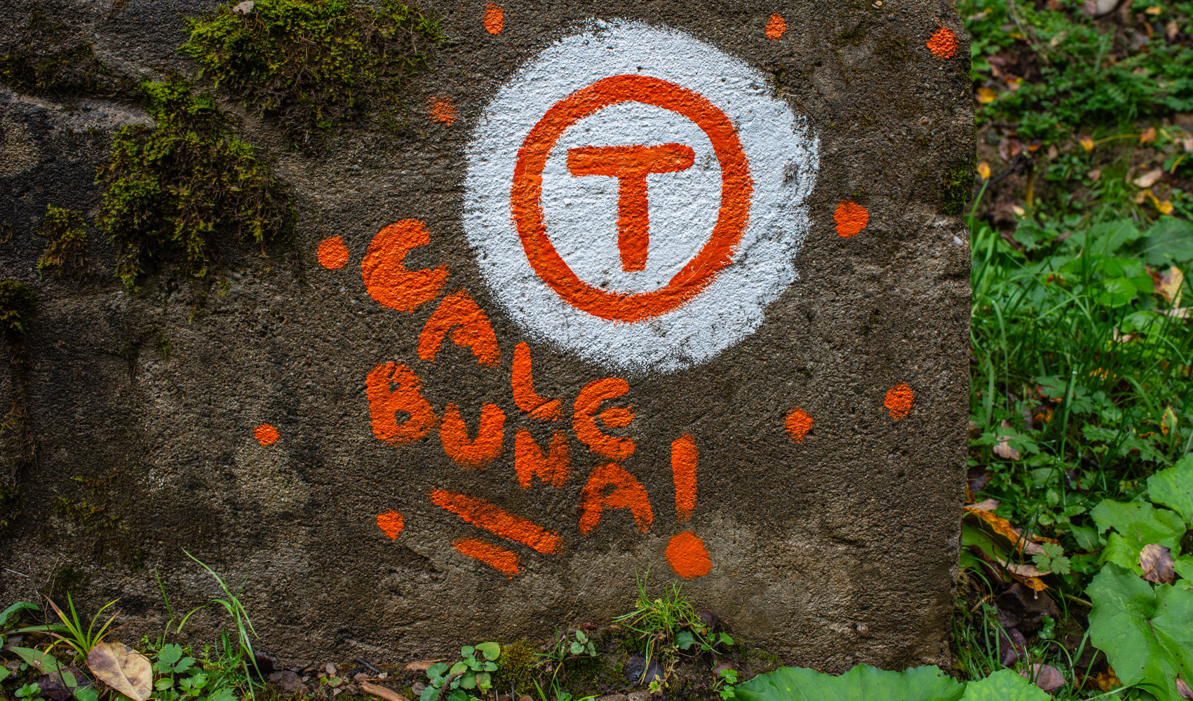 Via Transilvanica
