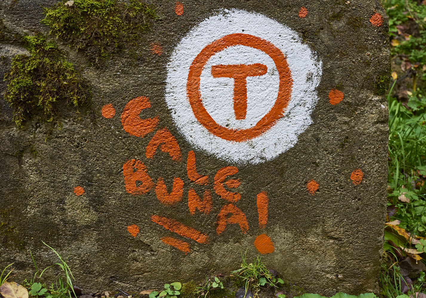 Via Transilvanica